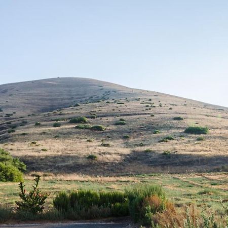Avigail Guest House Yavneʼel Exteriör bild