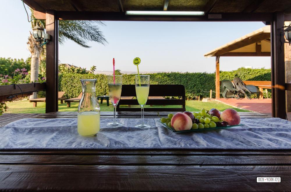 Avigail Guest House Yavneʼel Exteriör bild