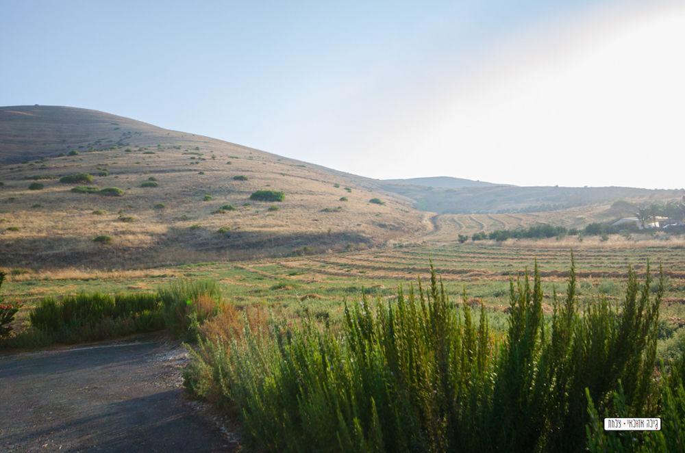 Avigail Guest House Yavneʼel Exteriör bild
