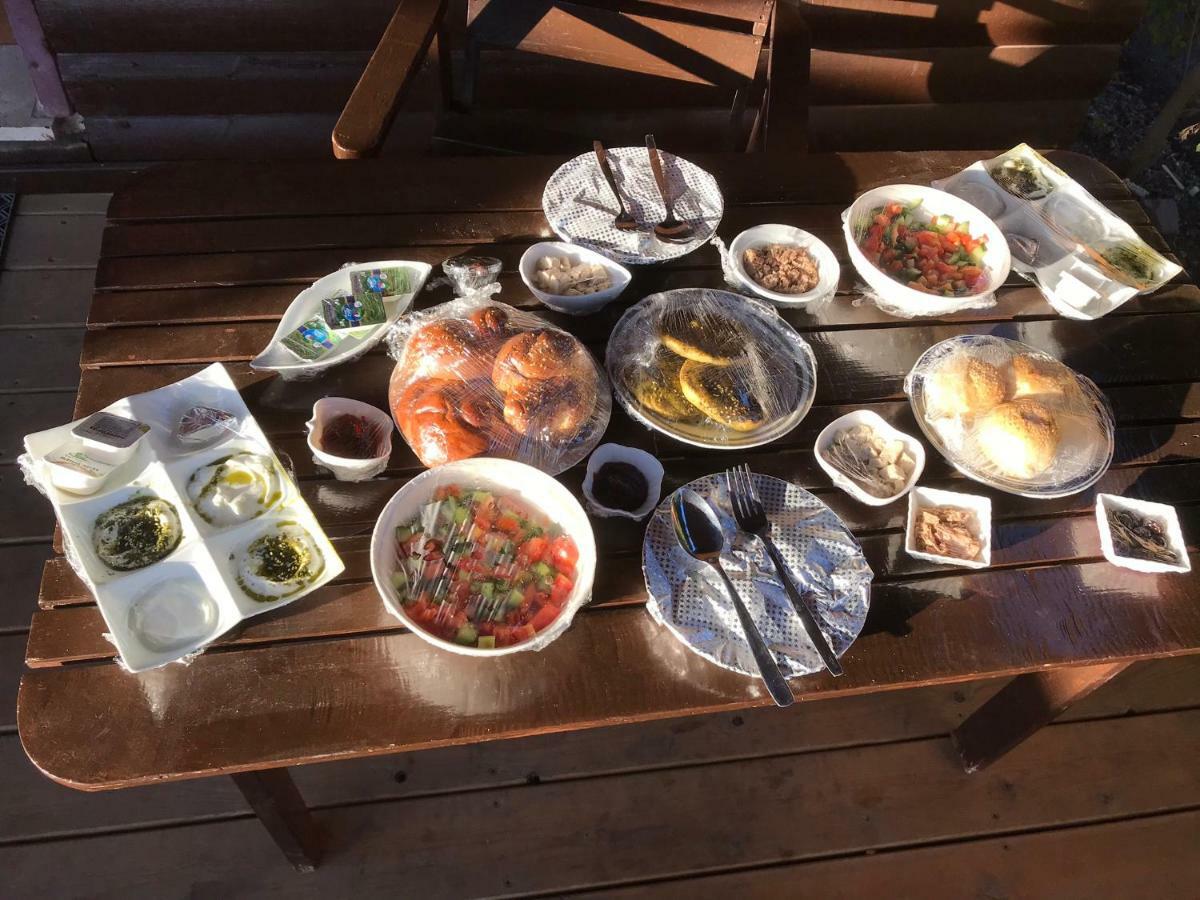 Avigail Guest House Yavneʼel Exteriör bild