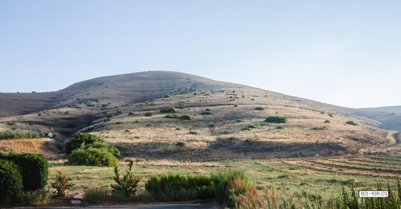 Avigail Guest House Yavneʼel Exteriör bild